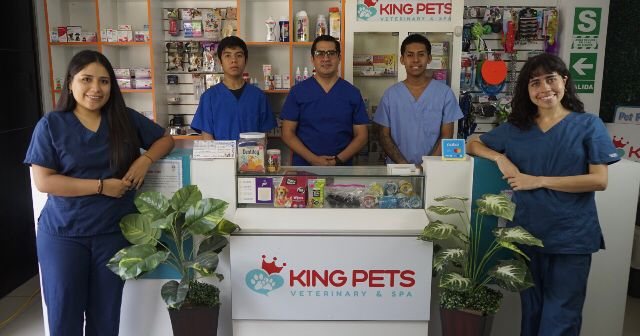King Pets